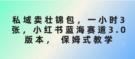 私域卖壮锦包，一小时3张，小红书蓝海赛道3.0版本， 保姆式教学-七七项目网