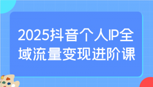 2025抖音个人IP全域流量变现进阶课:选爆品、抖音付费投流、千川投流实操及优化等-七七项目网