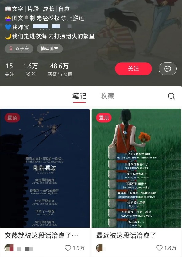 小红书治愈文案图文笔记，零门槛，一分钟制作轻松制作爆款作品月入万元-七七项目网