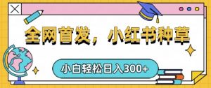 小红书种草，手机项目，日入3张，复制黏贴即可，可矩阵操作，动手不动脑【揭秘】-七七项目网
