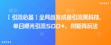 【引流必备】全网首发咸鱼引流黑科技，单日曝光引流500+，附矩阵玩法【揭秘】-七七项目网
