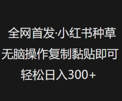 全网首发，小红书种草无脑操作，复制黏贴即可，轻松日入3张-七七项目网
