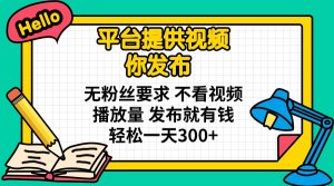 平台提供视频 你发布 无粉丝要求 不看视频播放量 发布就有钱 轻松一天300+-七七项目网