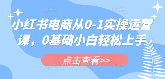 小红书电商从0-1实操运营课，0基础小白轻松上手-七七项目网