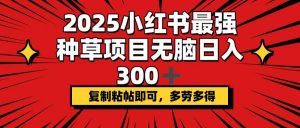2025小红书最强种草项目，无脑日入300+，复制粘帖即可，多劳多得-七七项目网