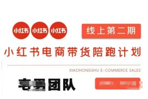 小红书电商带货课2期，月利润20个的小红书电商的有货源，无货源，虚拟产品，付费投流等整套玩法-七七项目网