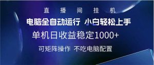 2025直播间最新玩法单机日入1000+ 全自动运行 可矩阵操作-七七项目网