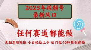2025年视频号新风口，低门槛只需要无脑执行-七七项目网