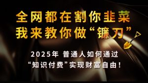 全网都在割你韭菜,我来教你做镰刀,2025普通人如何通过知识付费,实现财F自由【揭秘】-七七项目网