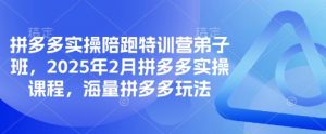 拼多多实操陪跑特训营弟子班,2025年2月拼多多实操课程,海量拼多多玩法-七七项目网