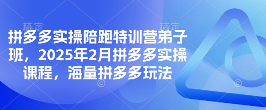拼多多实操陪跑特训营弟子班，2025年2月拼多多实操课程，海量拼多多玩法-七七项目网