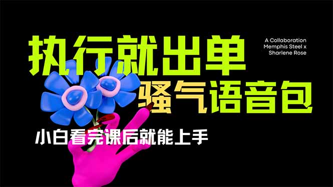 爆火全网的开车导航骚气语音包,只要执行就出单，小白看完课程就能实操…-七七项目网
