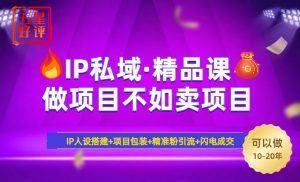 2025年“IP私域·密训精品课”，日赚3000+小白避坑年赚百万，暴力引流...-七七项目网