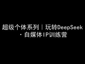 超级个体系列，玩转DeepSeek·自媒体IP训练营，deepseek教程-七七项目网