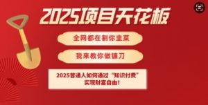 2025项目天花板普通人如何通过知识付费，实现财F自由【揭秘】-七七项目网