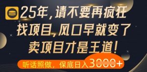 什么?25年你还在疯狂找项目做,醒醒吧,看完这些你全都懂了【揭秘】-七七项目网