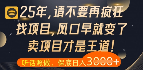 什么？25年你还在疯狂找项目做，醒醒吧，看完这些你全都懂了【揭秘】-七七项目网