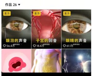 抖音坚果3D动画科普项目，撸视频号分成和抖音伙伴计划，适合零基础小白-七七项目网