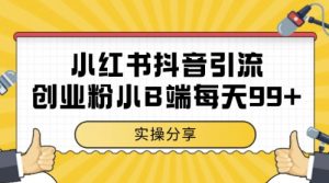 小红书抖音创业粉，小B端粉自热，日引99+的一个玩法【揭秘】-七七项目网