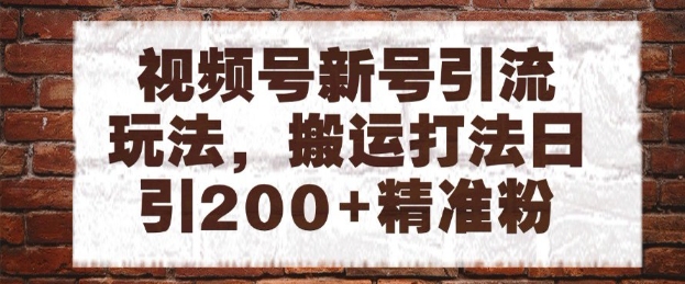 视频号新号引流玩法，搬运打法日引200+精准粉，可矩阵放大【揭秘】-七七项目网