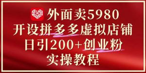 外面卖5980开设拼多多虚拟店铺:单日引流200+创业付费粉实战教程-七七项目网