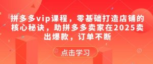 拼多多vip课程,零基础打造店铺的核心秘诀,助拼多多卖家在2025卖出爆款,订单不断-七七项目网