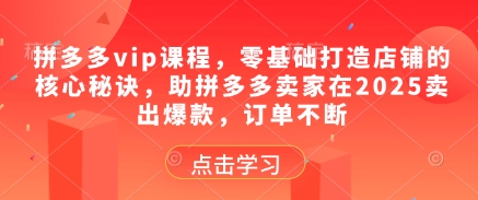 拼多多vip课程，零基础打造店铺的核心秘诀，助拼多多卖家在2025卖出爆款，订单不断-七七项目网