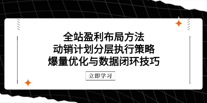 全站盈利布局方法：动销计划分层执行策略，爆量优化与数据闭环技巧-七七项目网