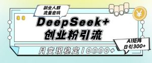 DeepSeek+创业粉精准引流，全新分享课4.0玩法，AI矩阵日引300+，多种变现方式，稳定月入1W-七七项目网