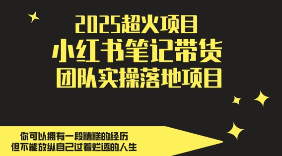 2025超火项目，副业最佳选择，小红书笔记带货团队实操落地项目，，轻松日入5张-七七项目网