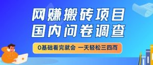 网创搬砖项目,国内问卷调查,小白轻松上手,一天三四张的也不难,干就完了【揭秘】-七七项目网
