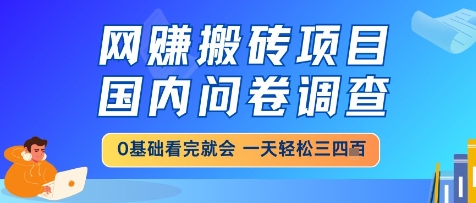 网创搬砖项目，国内问卷调查，小白轻松上手，一天三四张的也不难，干就完了【揭秘】-七七项目网