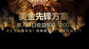 免费技术！小众赛道！一年布局抵三年努力，每日800+-七七项目网