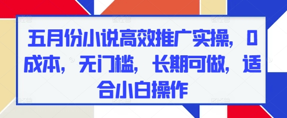 五月份小说高效推广实操，0成本，无门槛，长期可做，适合小白操作-七七项目网