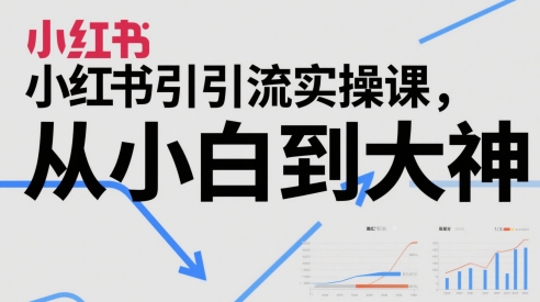 小红书引流实操课，从小白到大神-七七项目网