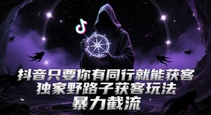 抖音只要你有同行就能获客，独家野路子获客玩法，暴力截流【揭秘】-七七项目网