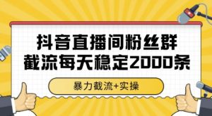 抖音直播间粉丝群暴力截流，一台电脑每天稳定2000条数据，暴力截流+实操 【揭秘】-七七项目网