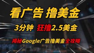 看广告,撸美金!!3分钟赚2.5美金!!日入200美金不是梦!揭秘Google...-七七项目网