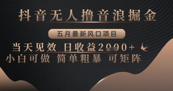 抖音无人撸音浪掘金，五月最新风口项目，当天见效，日收益多张，小白可做简单粗暴可矩阵【揭秘】-七七项目网