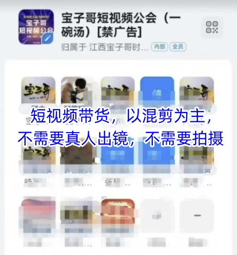 宝子哥头部团队短视频带货，以混剪为主，不需要真人出镜，不需要拍摄-七七项目网