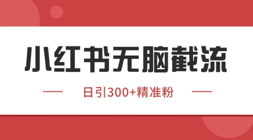 小红书只要你有同行就能获客，独家野路子获客玩法，暴力截流【揭秘】-七七项目网