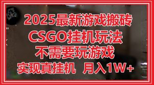 2025最新游戏搬砖，CSGO挂机，不需要玩游戏，实现真挂机，月入1W+-七七项目网