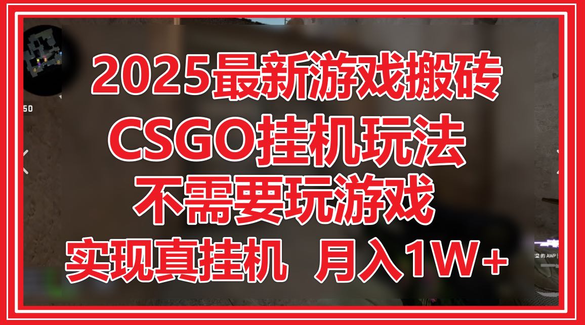 2025最新游戏搬砖，CSGO挂机，不需要玩游戏，实现真挂机，月入1W+-七七项目网