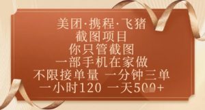 飞猪美团截图项目,你只管截图,一部手机在家做,正规平台无套路,一天5张+【揭秘】-七七项目网