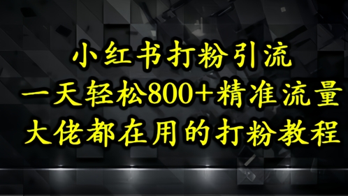 小红书打粉引流，一天轻松500+精准流量，大佬都在用的打粉教程-七七项目网