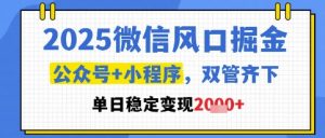 2025微信风口掘金,公众号+小程序双管齐下,单日稳定变现1k+【揭秘】-七七项目网