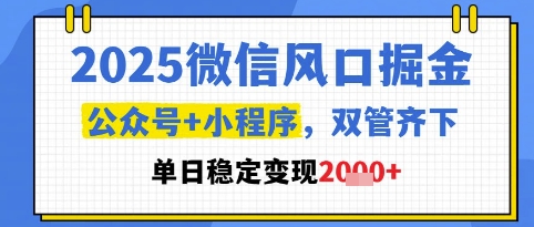 2025微信风口掘金，公众号+小程序双管齐下，单日稳定变现1k+【揭秘】-七七项目网