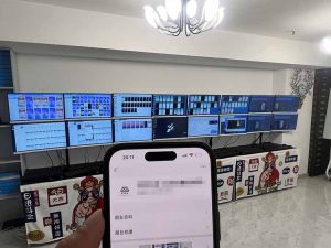 2025年实操六大项目实操演练，挂机类型，AI直播类型，轻资产创业类型，...-七七项目网