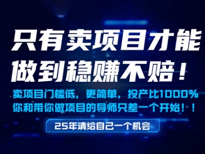 只有卖项目才能做到稳挣不赔，门槛低，更简单，你也可以年入百个W【揭秘】-七七项目网