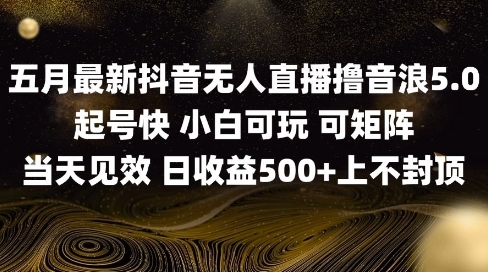 2025五月最新无人直播撸音浪单日产出5张+实操教程【揭秘】-七七项目网